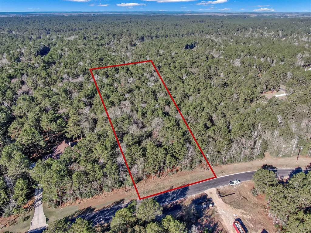 Lot 16 Grand View, Huntsville, Texas image 3