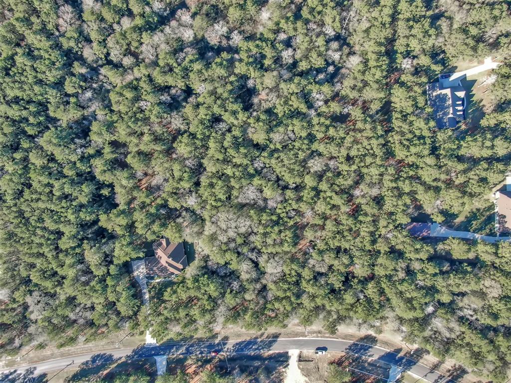 Lot 16 Grand View, Huntsville, Texas image 11