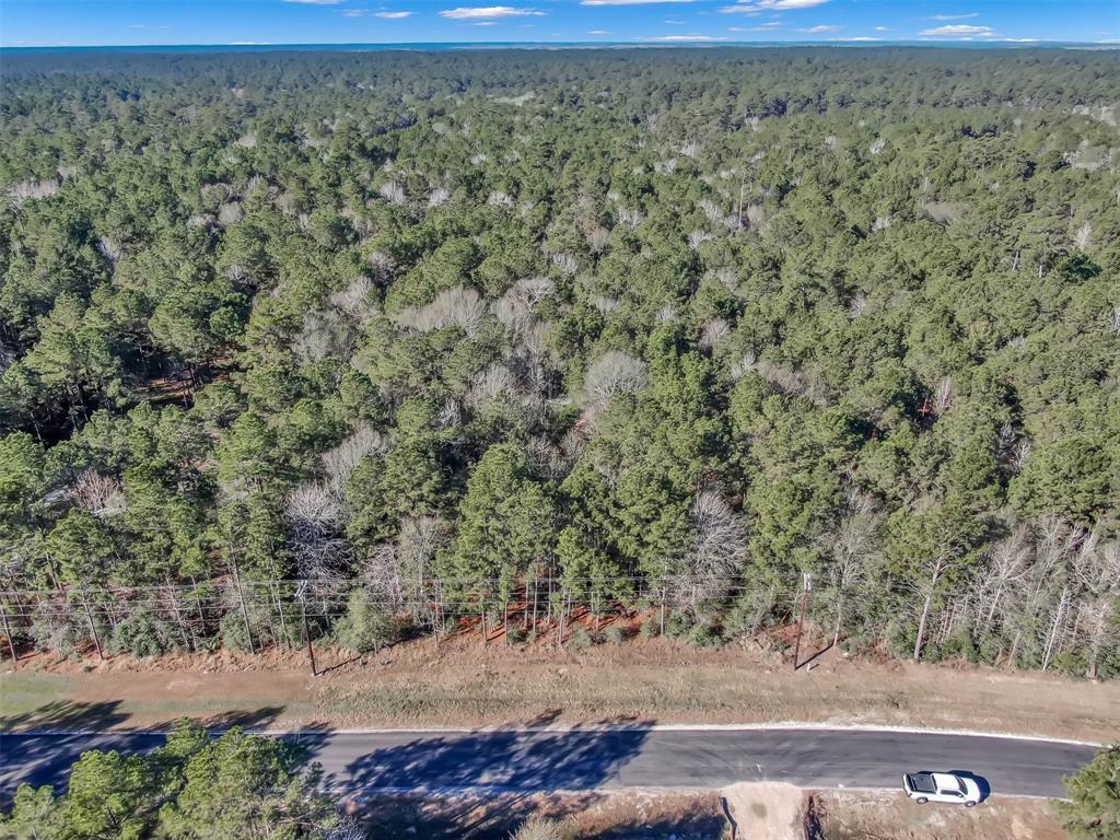 Lot 16 Grand View, Huntsville, Texas image 13