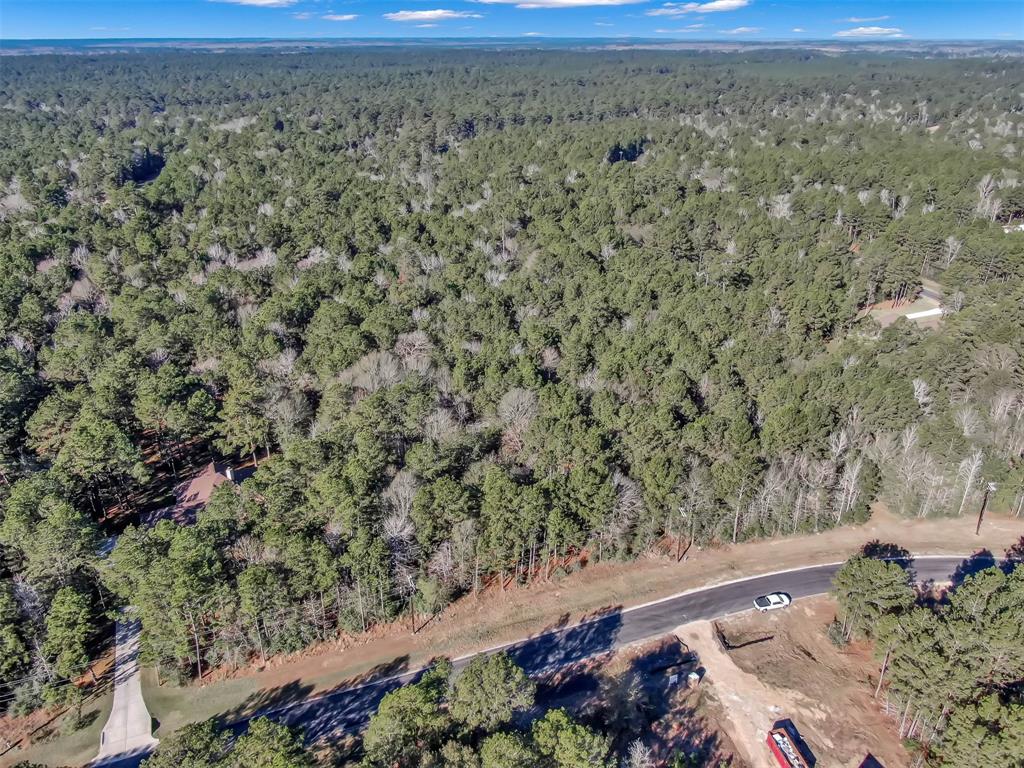 Lot 16 Grand View, Huntsville, Texas image 14