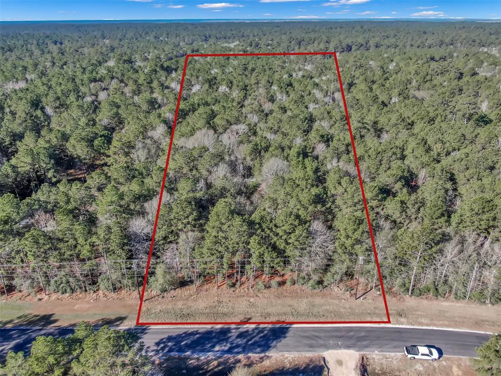 Lot 16 Grand View, Huntsville, Texas image 5