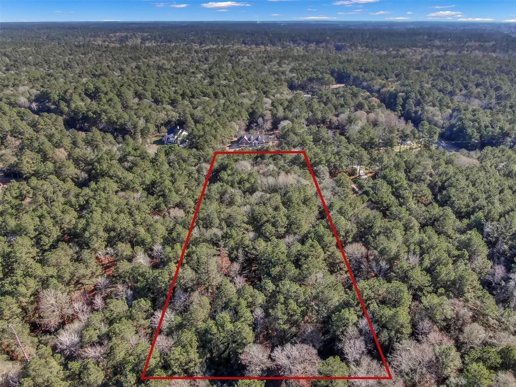 Lot 16 Grand View, Huntsville, Texas image 2