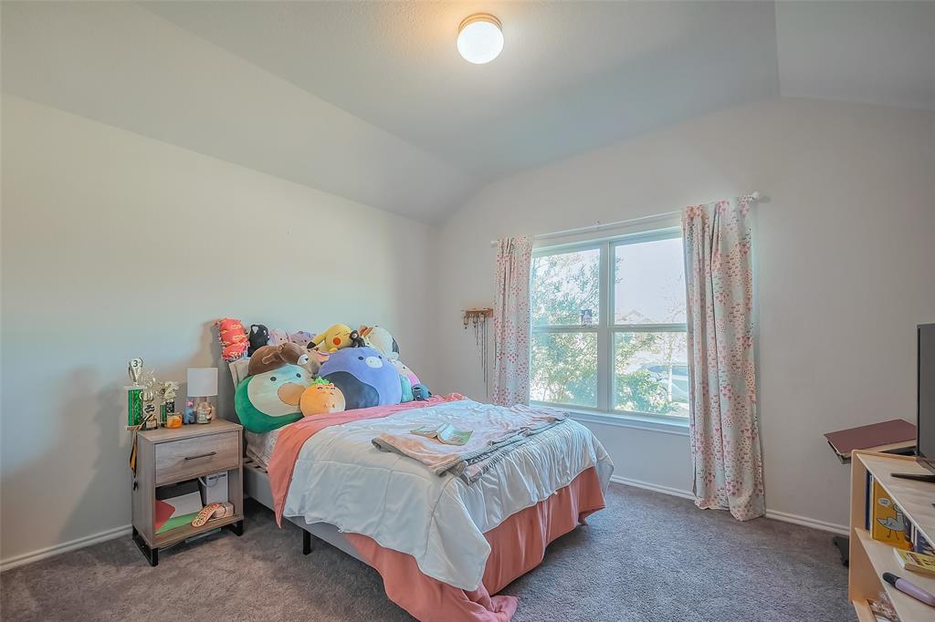 2923 Flying Horse Ln Lane, Dickinson, Texas image 24