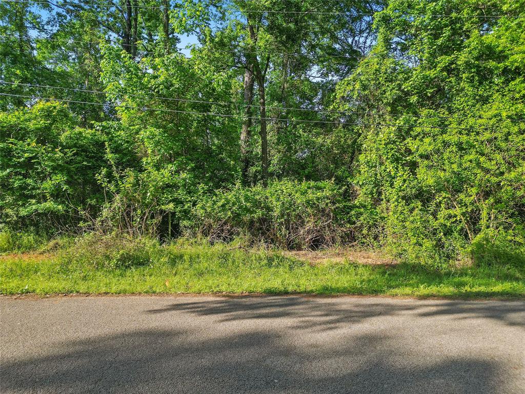 00 Arrowhead Drive, Conroe, Texas image 8