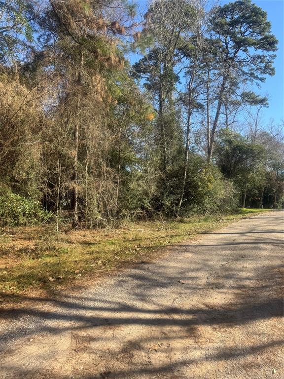 000 Ponderosa Trail Trail, Montgomery, Texas image 3