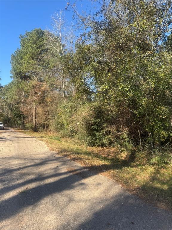 000 Ponderosa Trail Trail, Montgomery, Texas image 1