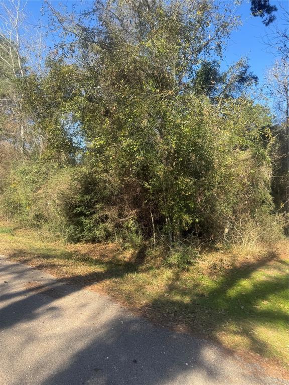 000 Ponderosa Trail Trail, Montgomery, Texas image 2