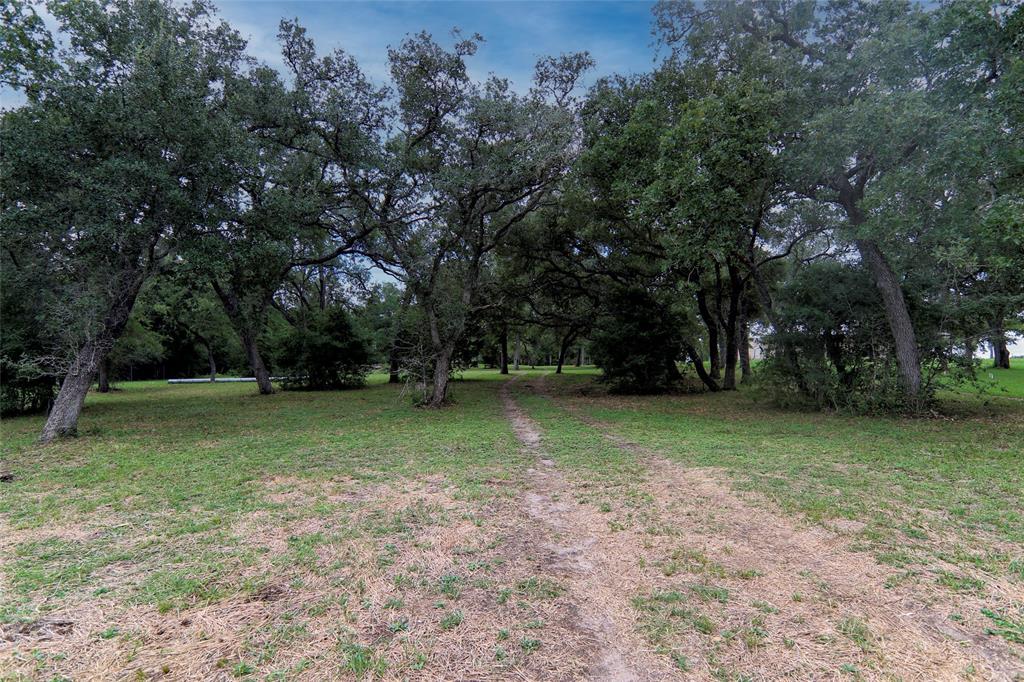 4744 Freyburg Hall Road, Schulenburg, Texas image 6