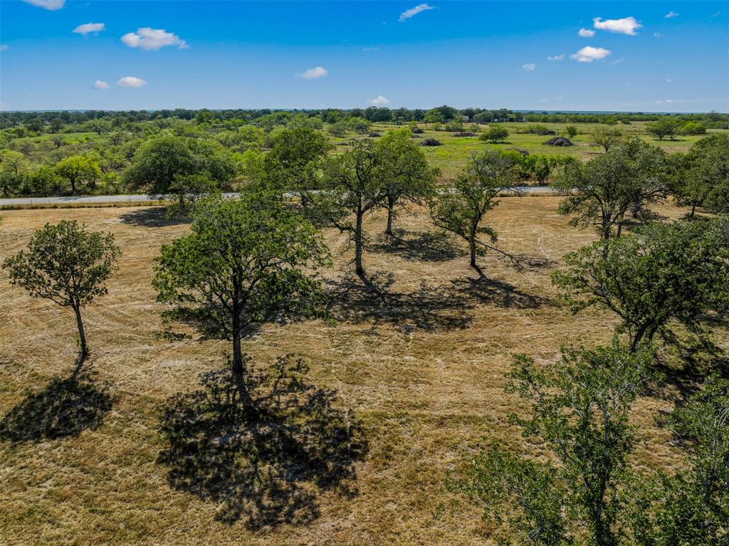 8209 Three Mile Road, Flatonia, Texas image 7