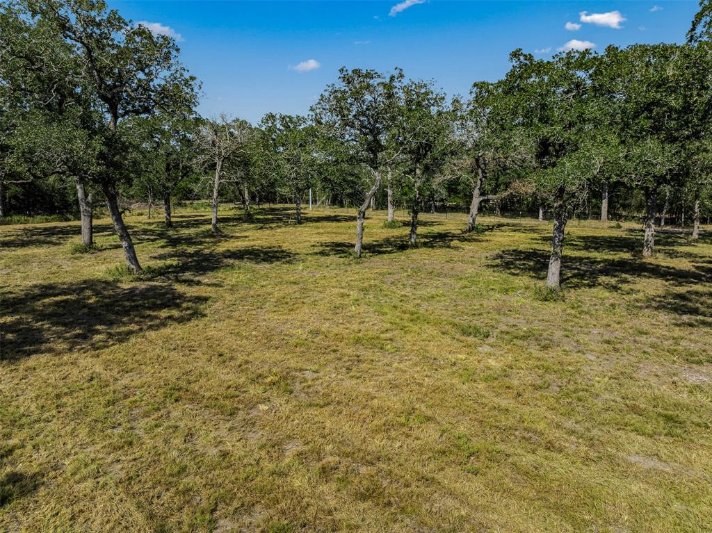 8209 Three Mile Road, Flatonia, Texas image 8