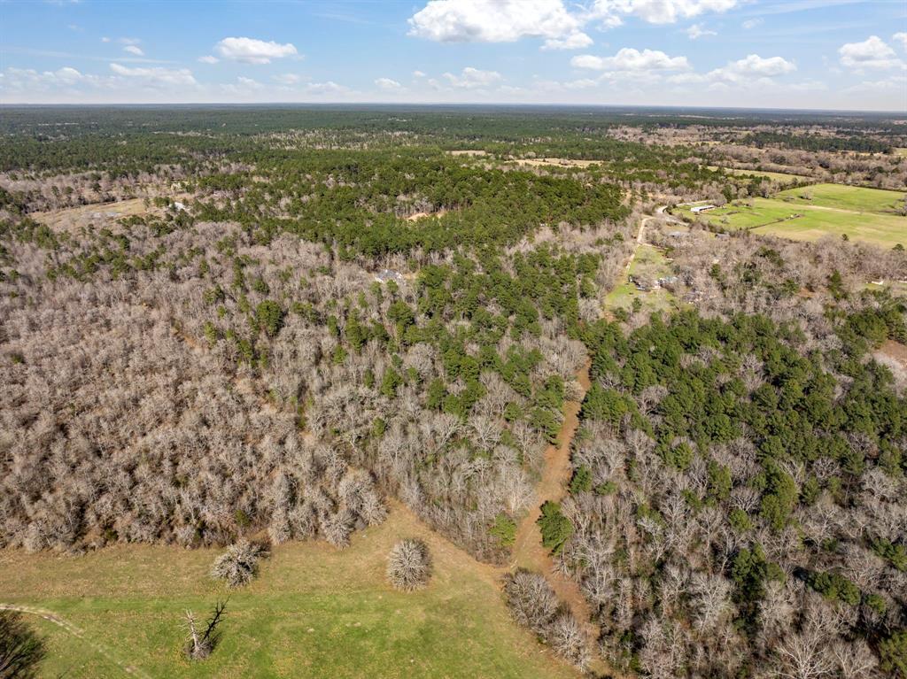 14549 Steede Road, Montgomery, Texas image 10