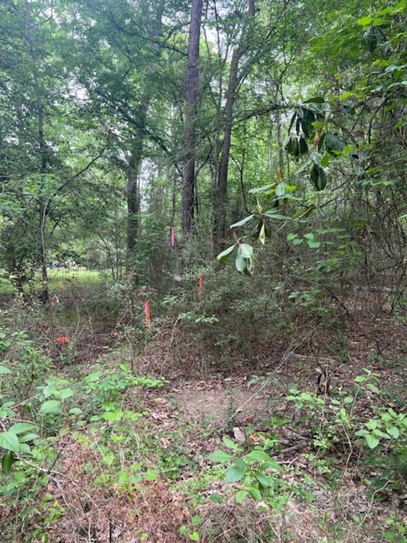Conway Road, Livingston, Texas image 4