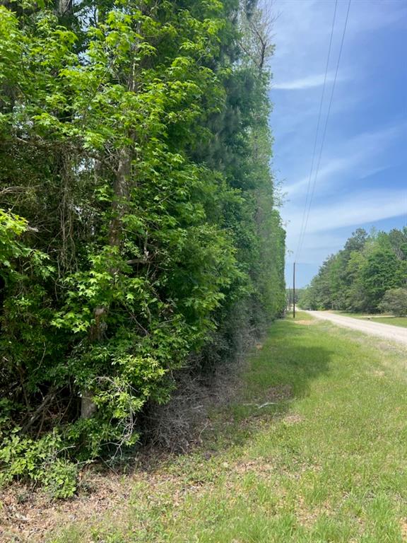 Conway Road, Livingston, Texas image 2