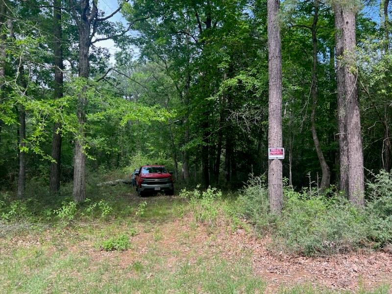 Conway Road, Livingston, Texas image 5