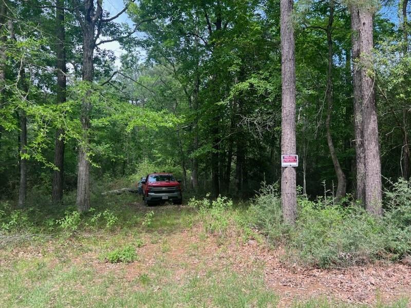 Conway Road, Livingston, Texas image 3