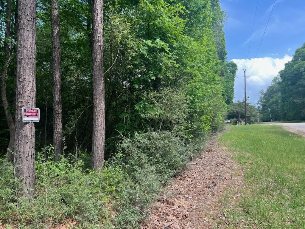 Conway Road, Livingston, Texas image 1