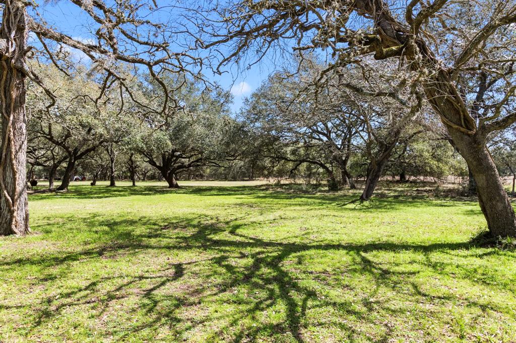 1035 Baron Lane, Columbus, Texas image 24