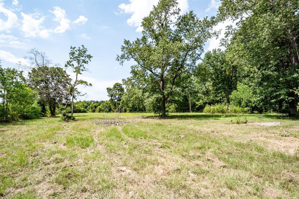 20086 Old Sorters Road, Porter, Texas image 9