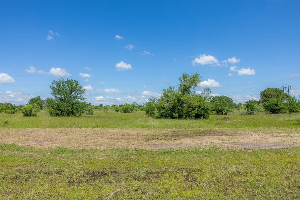 6523 Atakapan Trail Trl, Bedias, Texas image 2