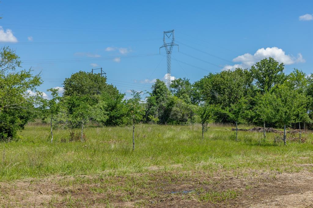 6523 Atakapan Trail Trl, Bedias, Texas image 4