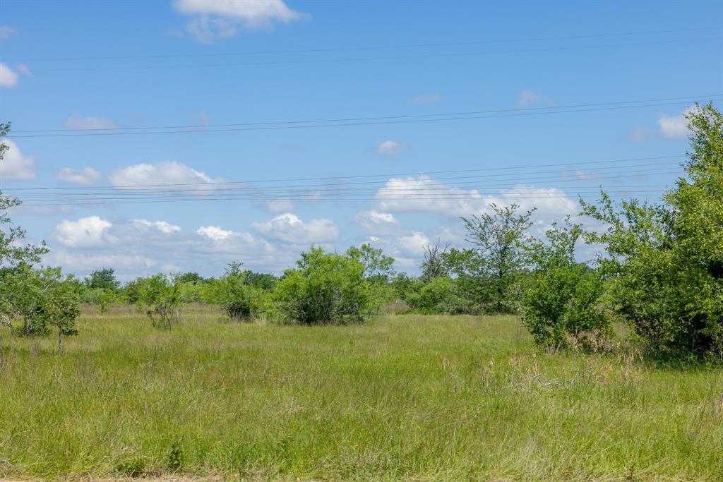 6523 Atakapan Trail Trl, Bedias, Texas image 3