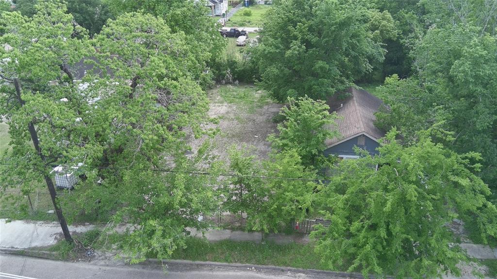 3240 Holman Street, Houston, Texas image 4