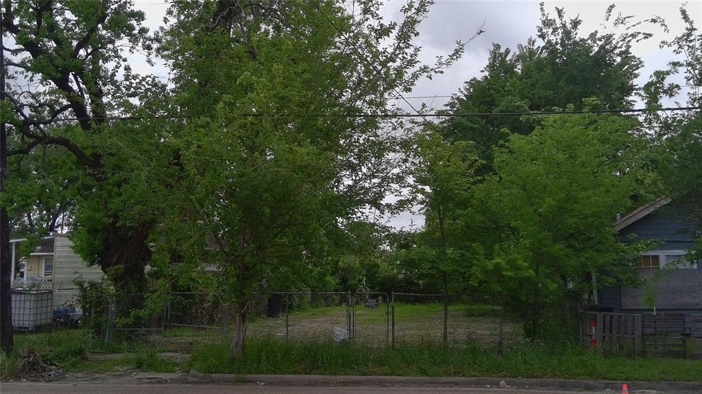 3240 Holman Street, Houston, Texas image 6