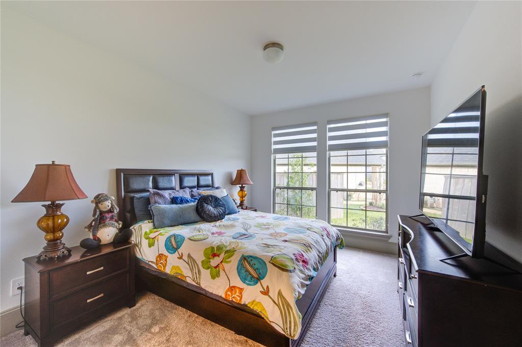 523 Caverna Street, Montgomery, Texas image 22