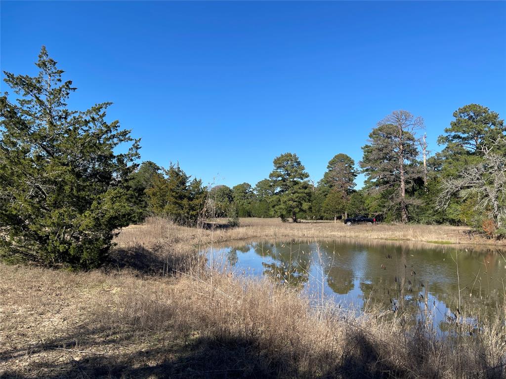 000 Split Oak Road, Smithville, Texas image 9