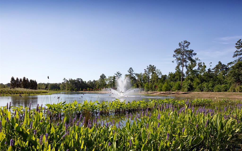 4930 Morning Stream Drive, Spring, Texas image 27