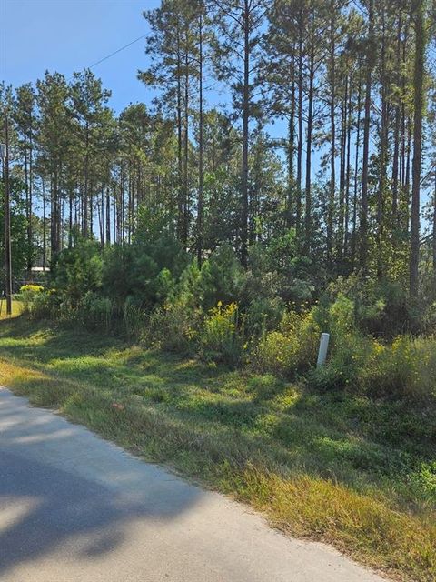 Photo of 274 County Road 5001, Cleveland, TX 77327 (MLS # 56870999)