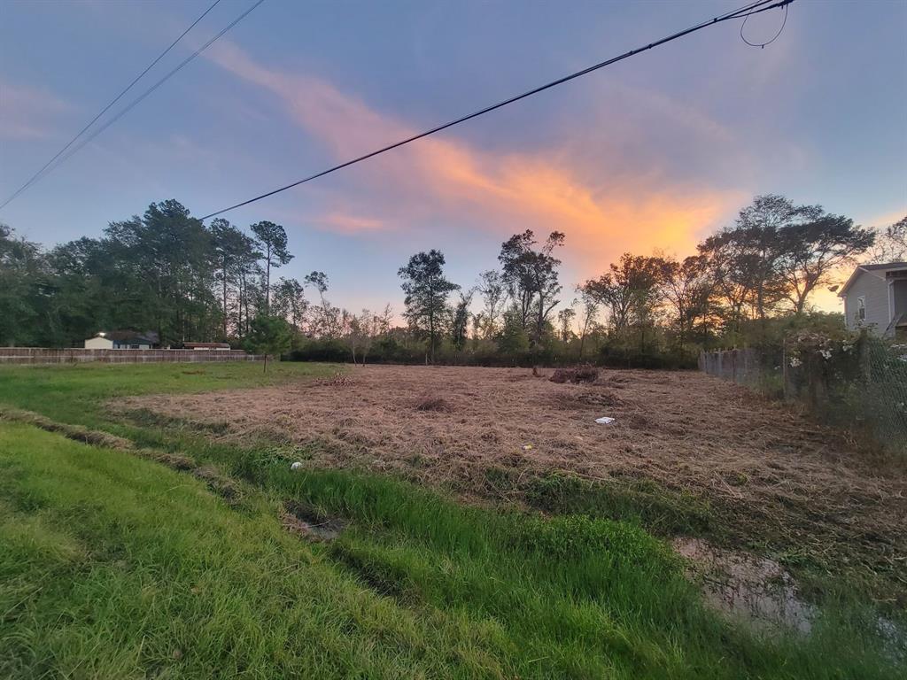 TBD Peach Creek Forest, New Caney, Texas image 3