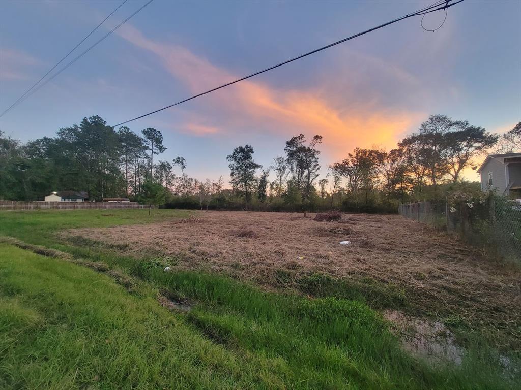 TBD Peach Creek Forest, New Caney, Texas image 6