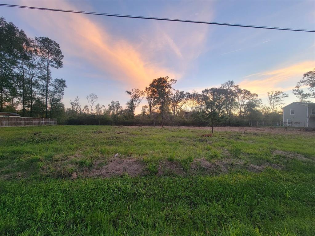 TBD Peach Creek Forest, New Caney, Texas image 9