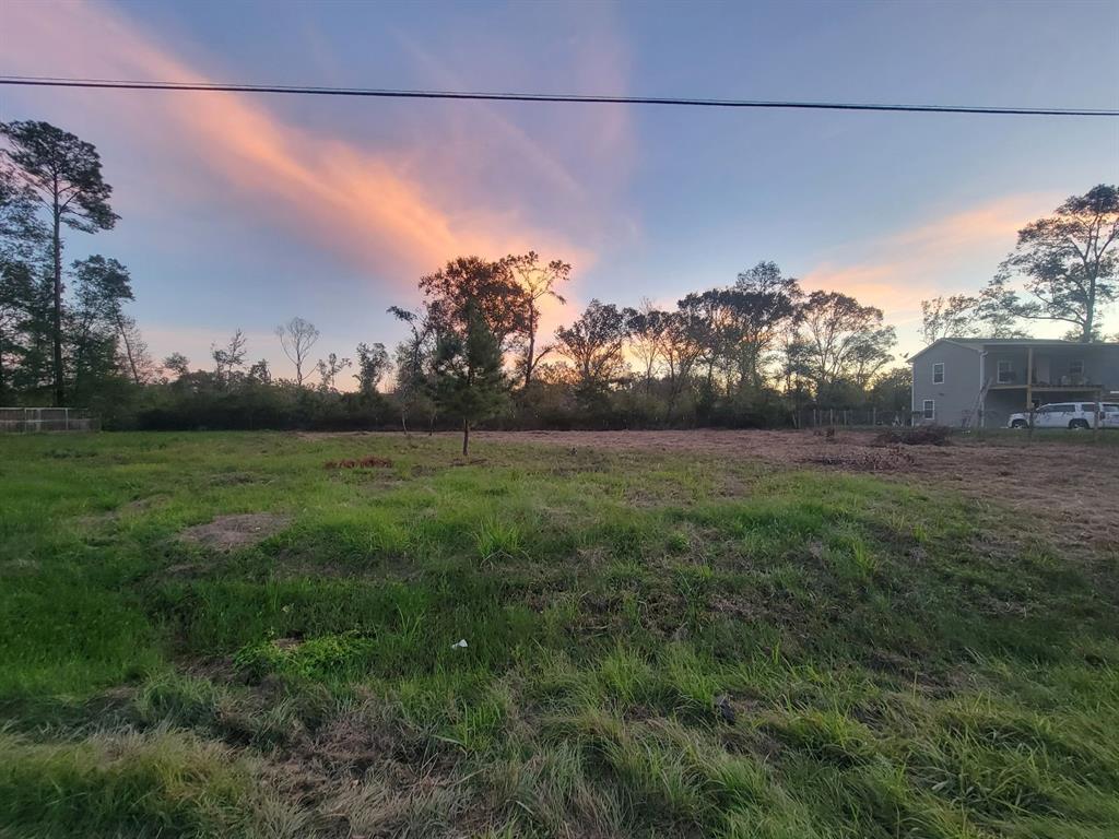 TBD Peach Creek Forest, New Caney, Texas image 8