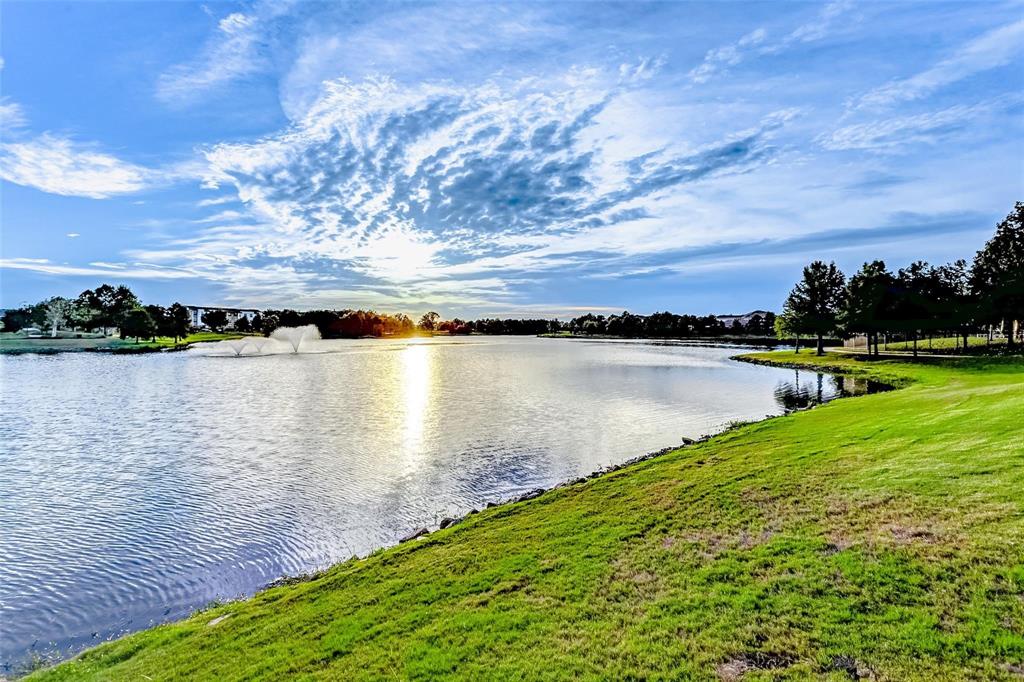 29114 Autumn Brook Drive, Fulshear, Texas image 40