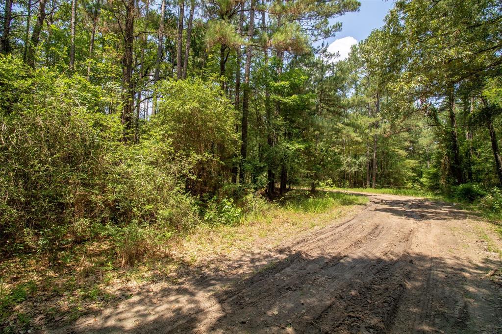 330 Wilderness Run, Trinity, Texas image 20