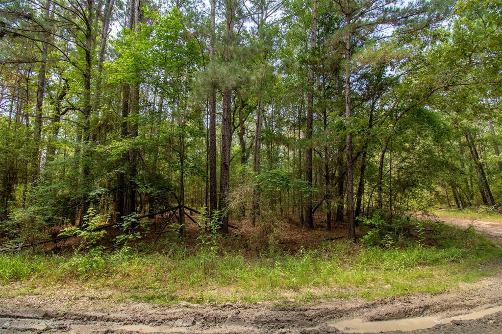 330 Wilderness Run, Trinity, Texas image 12