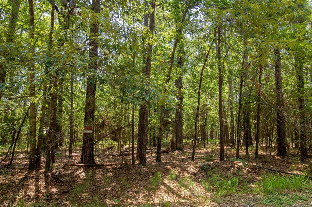 330 Wilderness Run, Trinity, Texas image 15