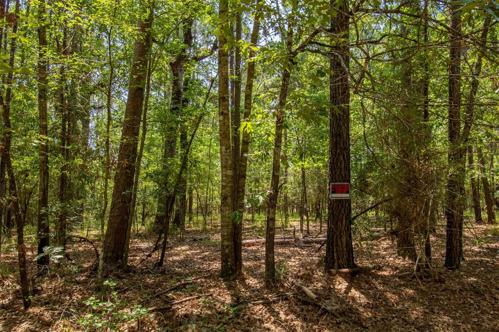 330 Wilderness Run, Trinity, Texas image 17