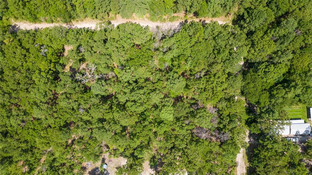 330 Wilderness Run, Trinity, Texas image 4