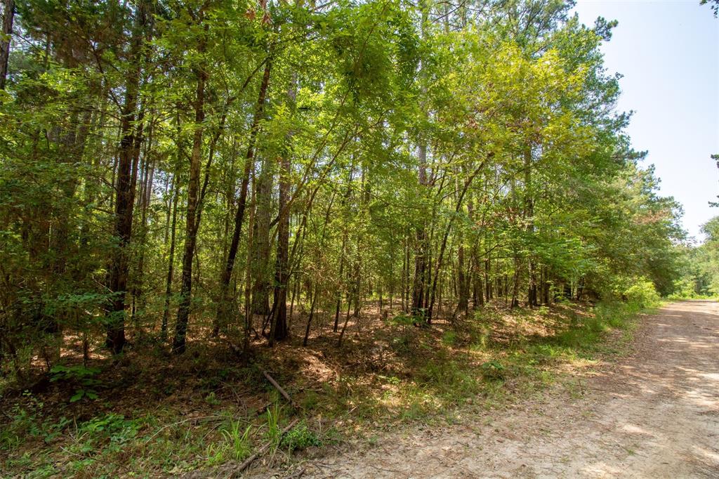 330 Wilderness Run, Trinity, Texas image 14