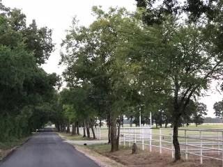 3225 County Road Dr, Lone Oak, Texas image 12