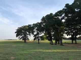 3225 County Road Dr, Lone Oak, Texas image 8