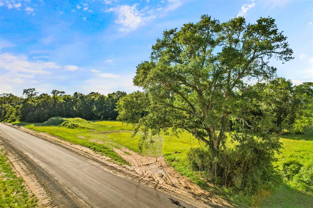 24836 Two Rivers Road, Montgomery, Texas image 7