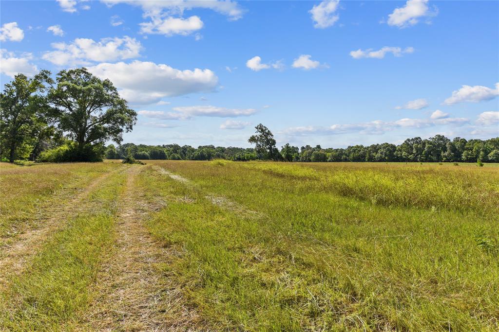 24836 Two Rivers Road, Montgomery, Texas image 9