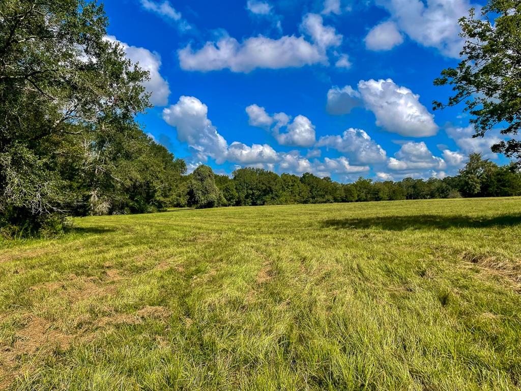 6346 Bethel Cemetery Road Rd, North Zulch, Texas image 30