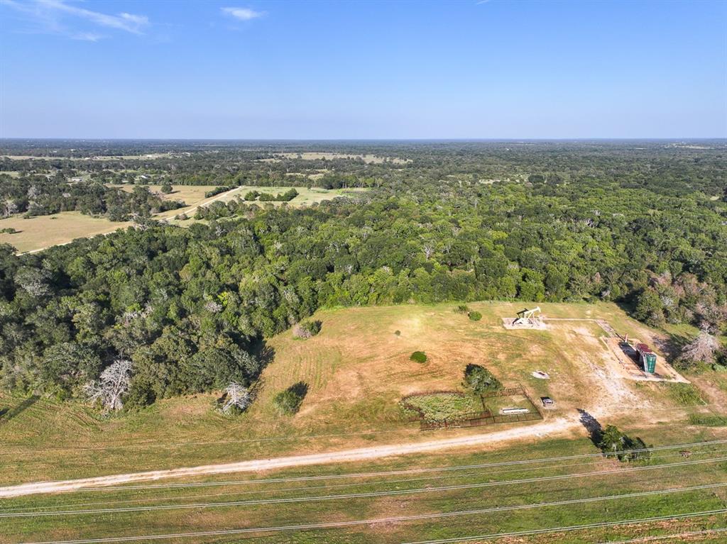 6346 Bethel Cemetery Road Rd, North Zulch, Texas image 8