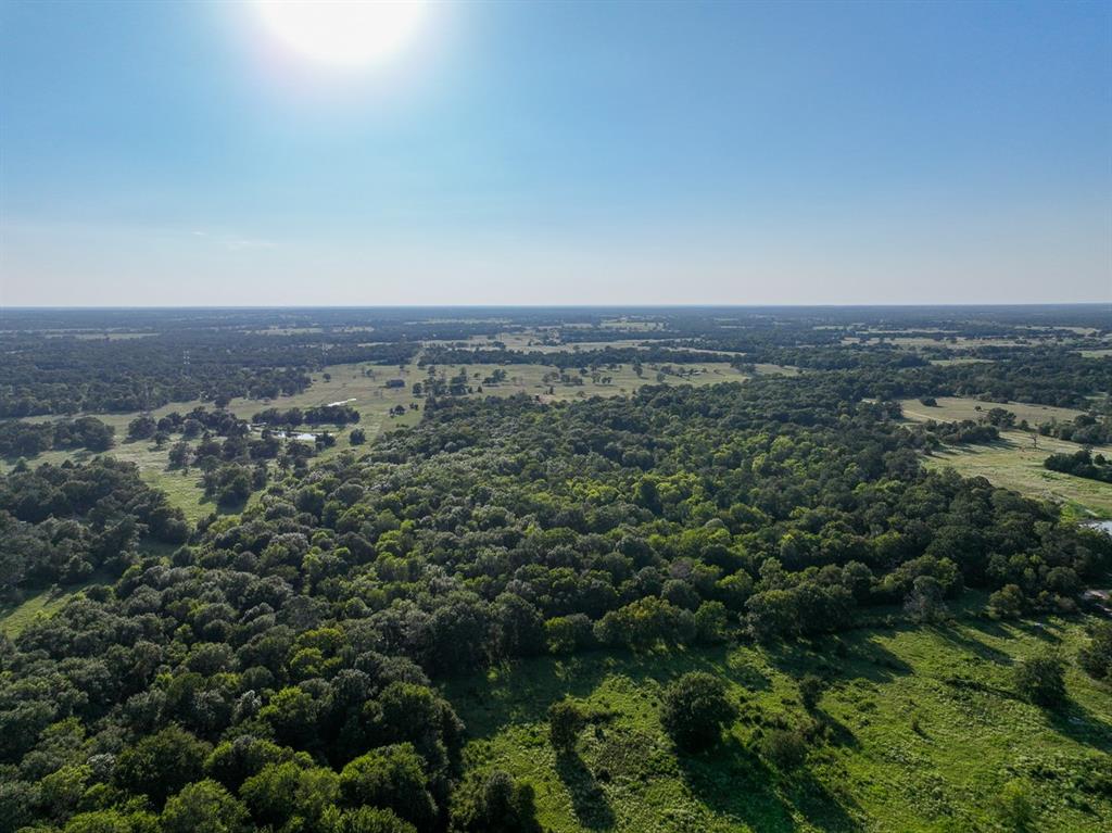 6346 Bethel Cemetery Road Rd, North Zulch, Texas image 6