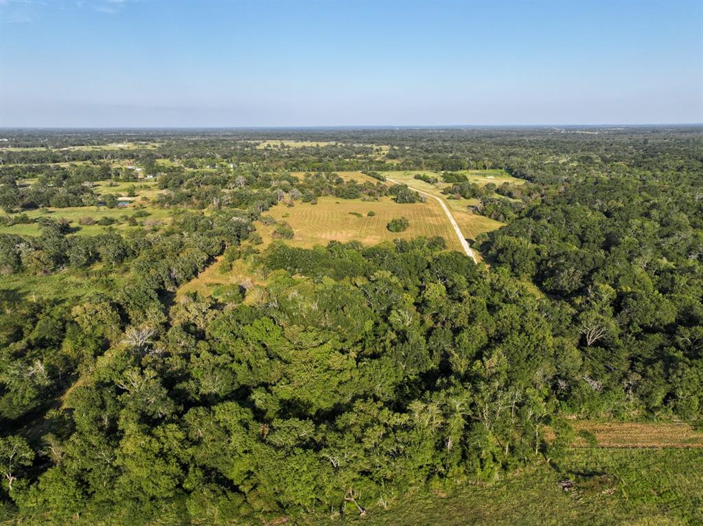 6346 Bethel Cemetery Road Rd, North Zulch, Texas image 9